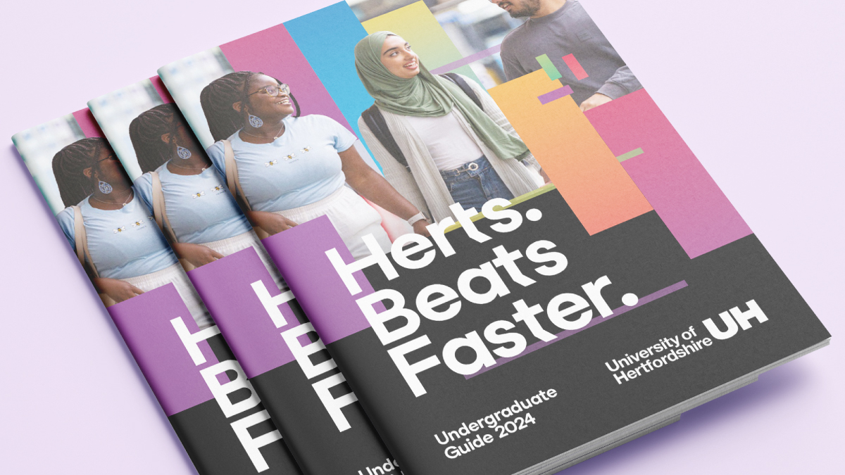 An example image of our new undergraduate mini guide