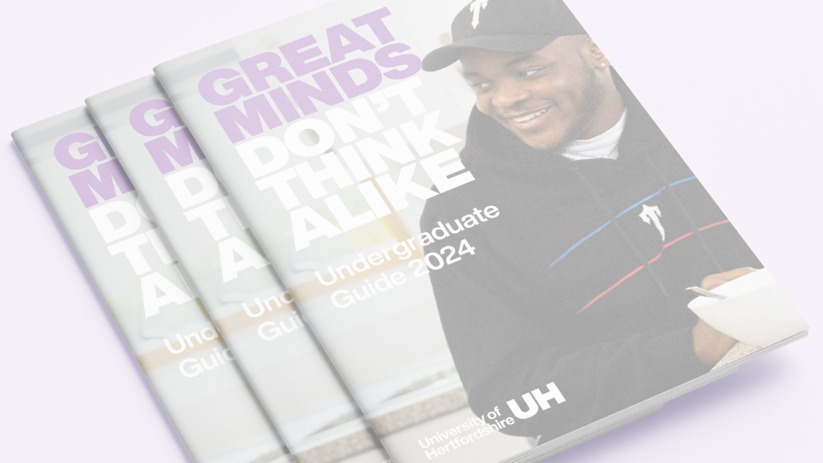 An example image of our old undergraduate mini guide